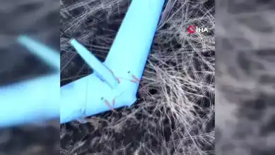 Kamikaze Dronlar Savaşı Değiştiriyor